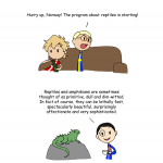 How to deal with animals