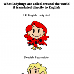 Ladybug around the world