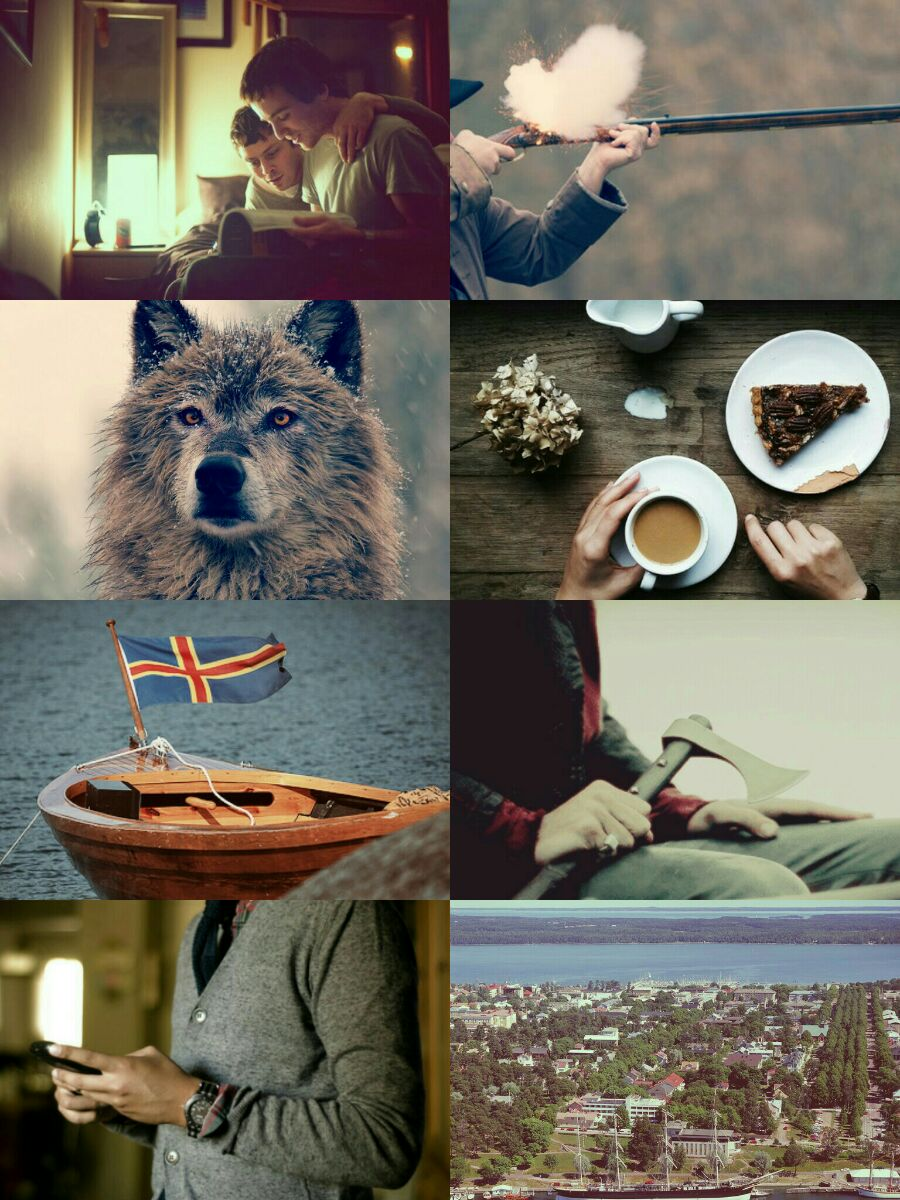 &Aring;land Board