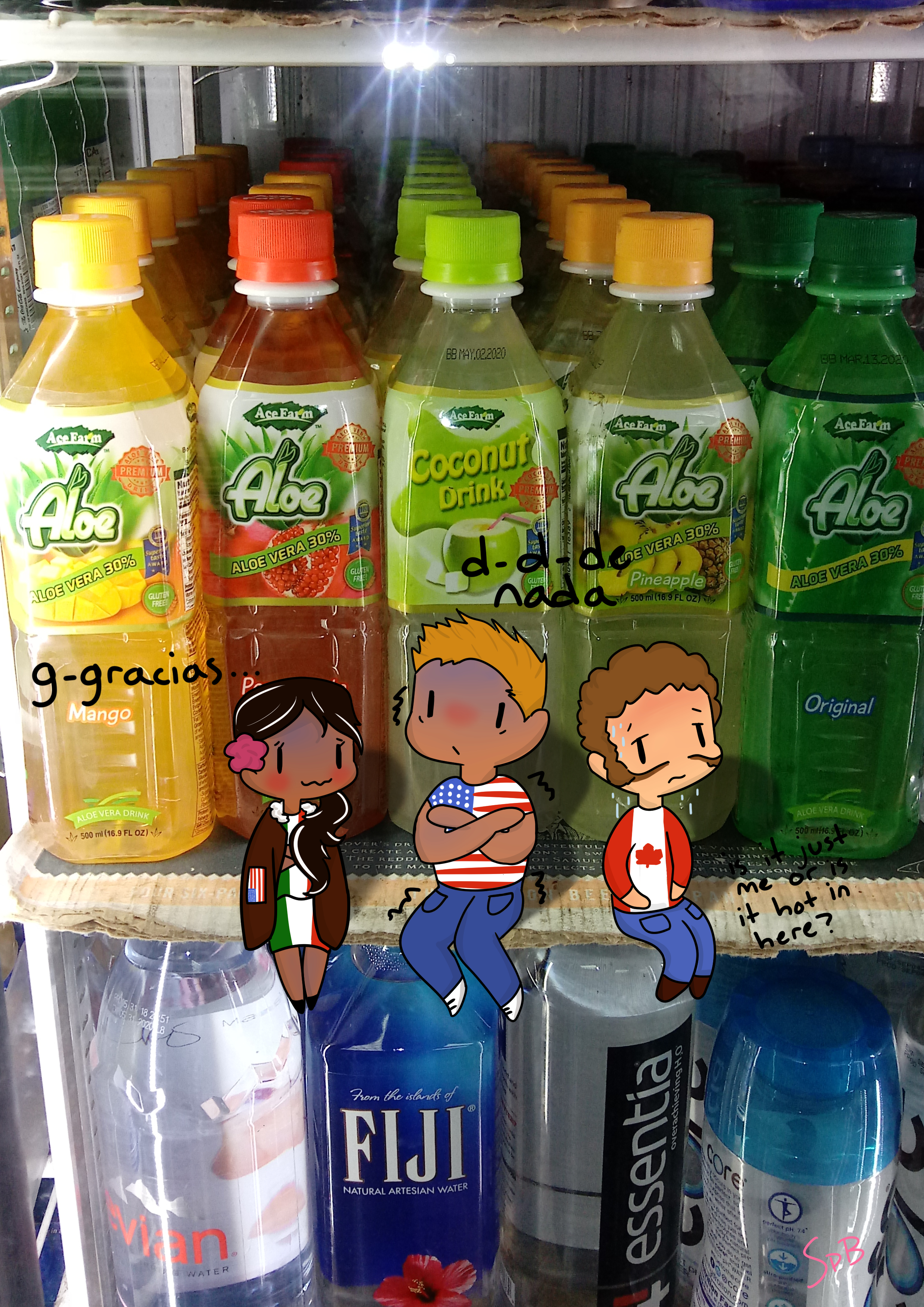 North America in the fridge