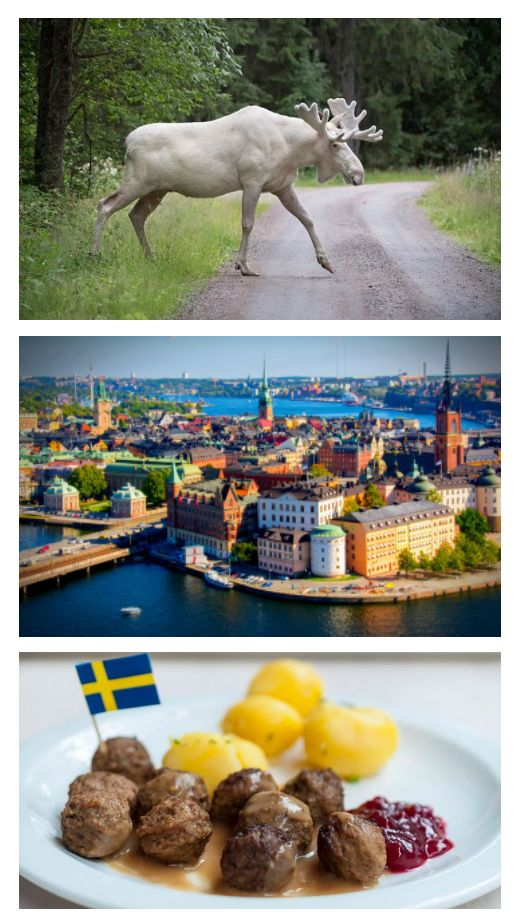 Swedish stuff (I don't know why)
