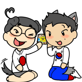 Japan and South Korea