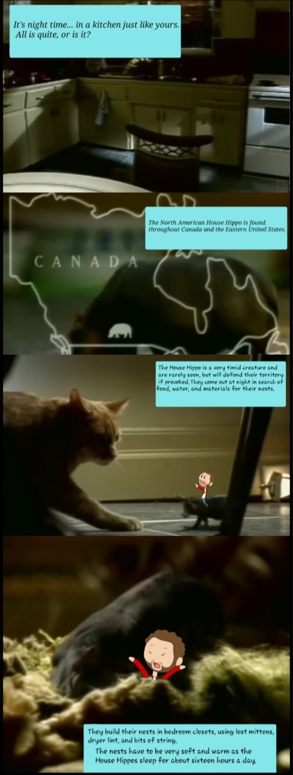 Urban Canada 3