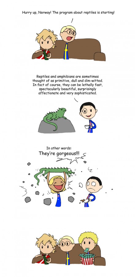 How to deal with animals